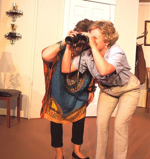 Leona, Love Thy Neighbor, Too. Eldridge Plays and Musicals