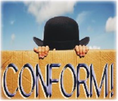 Picture of Conform! cover art.