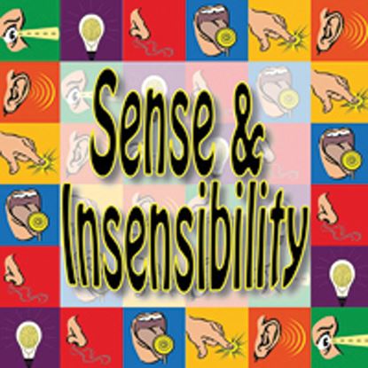 Picture of Sense & Insensibility cover art.