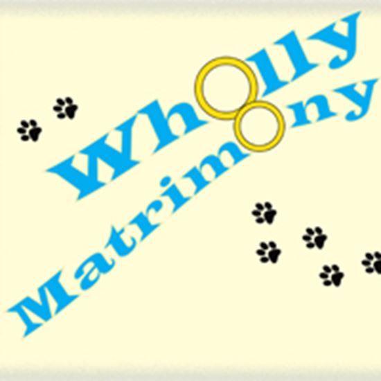 Picture of Wholly Matrimony cover art.