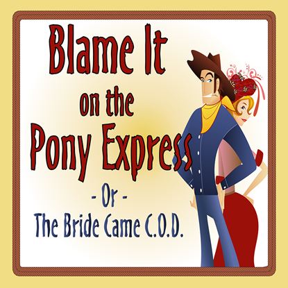 Picture of Blame It On The Pony Express cover art.