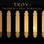 Picture of Troy: Sacrifice And Survival cover art.