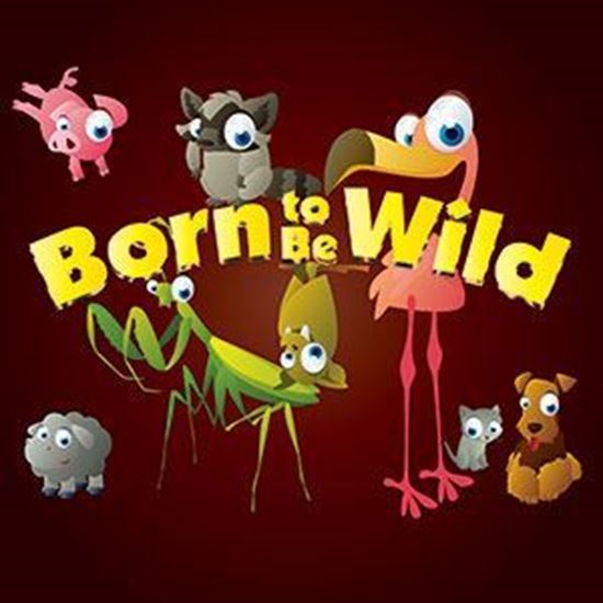 born-to-be-wild