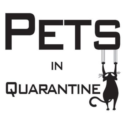 pets-in-quarantine