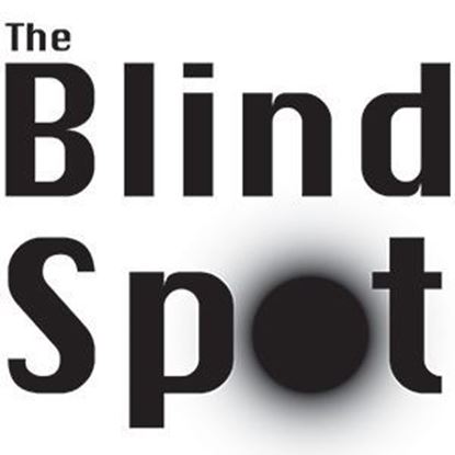 blind-spot-the